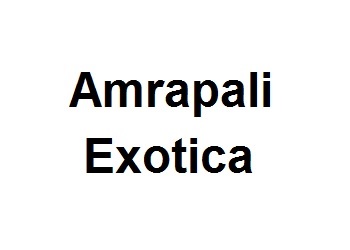 Amrapali Exotica